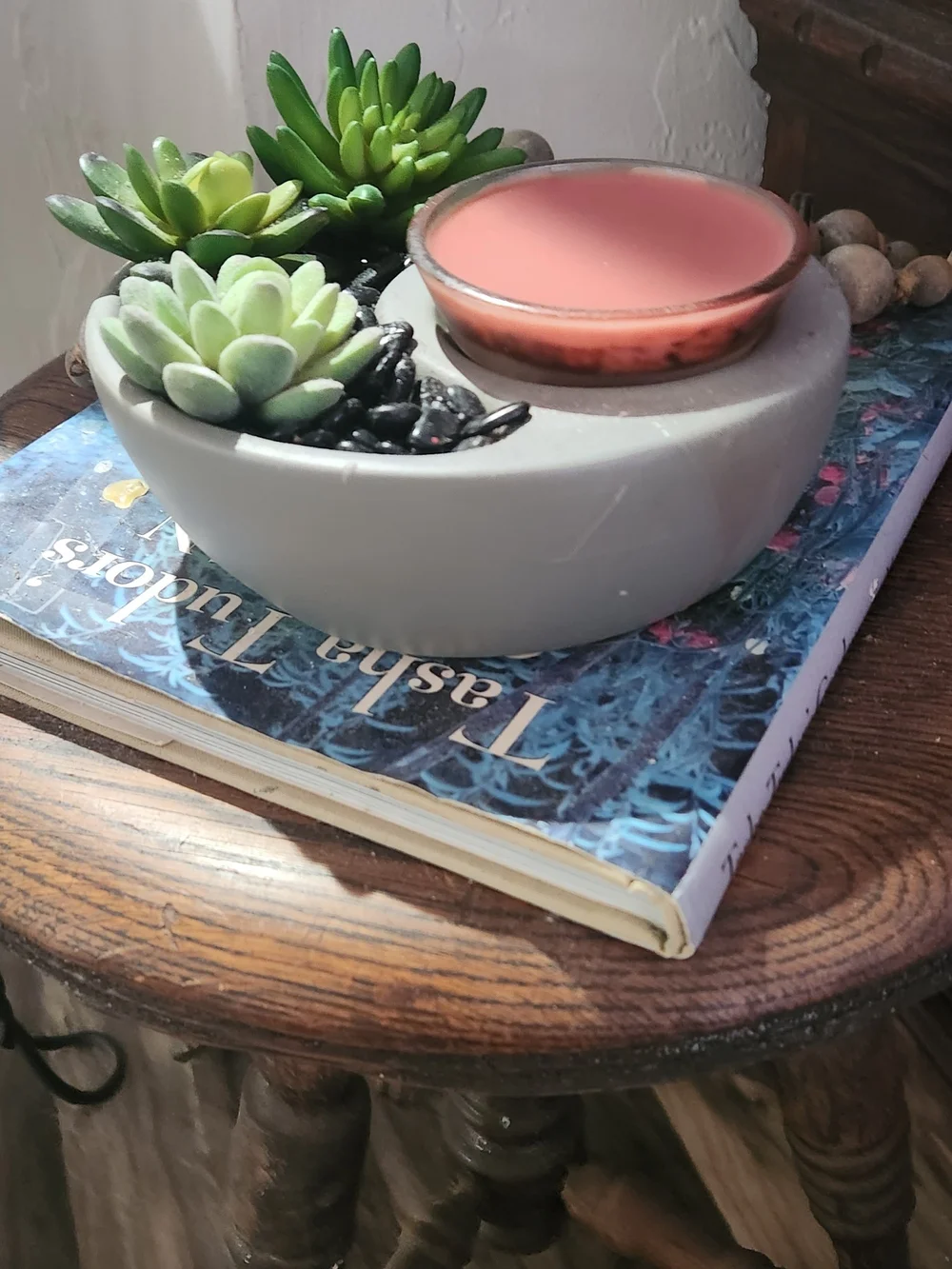 Scentsy Little Garden Succulent Wax Warmer SALE!! 🇺🇲🇺🇸🇺🇲